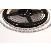 RGB LED pásik 24W/m 24V 120LED/m IP20 RGB LED pásik 24W/m 24V 120LED/m IP20