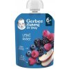 GERBER Kapsička natural lesné ovocie 6m+ 90 g GERBER Kapsička natural lesné ovocie 6m+ 90 g