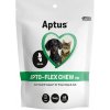 Aptus APTO-FLEX CHEW MINI 40 tbl. Aptus APTO-FLEX CHEW MINI 40 tbl.