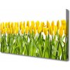 Obraz Canvas Tulipány kvety príroda 100x50 cm Obraz Canvas Tulipány kvety príroda 100x50 cm