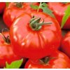 Paradajky Gigant semená 1 g Paradajky Gigant semená 1 g