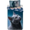 JERRY FABRICS Obliečky britská mačka Dark Cat Bavlna, 140/200, 70/90 cm JERRY FABRICS Obliečky britská mačka Dark Cat Bavlna, 140/200, 70/90 cm