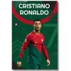 Ronaldo obraz na stenu | Zeleno červenom drese Portugalska Ronaldo obraz na stenu | Zeleno červenom drese Portugalska