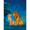 Fototapeta panel - PL0690 - Leví kráľ 175cm x 250cm - Vlies 110gr Fototapeta panel - PL0690 - Leví kráľ 175cm x 250cm - Vlies 110gr