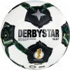 Derbystar DFB Brillant Replica Light Derbystar DFB Brillant Replica Light
