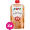 SALVEST Ponn BIO Mango100 g