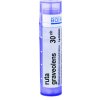 Ruta Graveolens gra.1 x 4 g 30CH Ruta Graveolens gra.1 x 4 g 30CH
