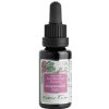 Regeneračný olej Arteris - Nobilis Tilia Objem: 20 ml Regeneračný olej Arteris - Nobilis Tilia Objem: 20 ml