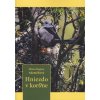 Hniezdo v kor0ne - Mária Regina Adamčíková Hniezdo v kor0ne - Mária Regina Adamčíková