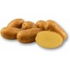 Sadbové zemiaky Agria - holandská sadba 5 kg Sadbové zemiaky Agria - holandská sadba 5 kg
