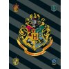JERRY FABRICS Fleece deka Harry Potter sivé pruhy JERRY FABRICS Fleece deka Harry Potter sivé pruhy