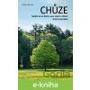 E-kniha Chůze - Libby DeLana E-kniha Chůze - Libby DeLana