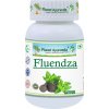 Fluendza - Infekcie, Prechladnutie - 500 mg, 60 kapsúl Fluendza - Infekcie, Prechladnutie - 500 mg, 60 kapsúl