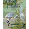 Zuty – Maľovanie Podľa Čísel – Dve Volavky Popolavé Pri Jazere, 80 × 100 cm, Plátno 8596530135265 Zuty – Maľovanie Podľa Čísel – Dve Volavky Popolavé Pri Jazere, 80 × 100 cm, Plátno 8596530135265