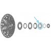 Pastorok Shimano 11z. pre CS-LG700 Linkglide Pastorok Shimano 11z. pre CS-LG700 Linkglide