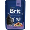 Brit Premium Cat kapsička s treskou 100g Brit Premium Cat kapsička s treskou 100g