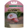 Dennerle Shrimp King Snail Stixx 45 g