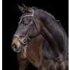 Bridle Anatomic Sports čierna Bridle Anatomic Sports čierna