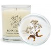 Botanicandle Sójová Sviečka stredná Medovka-koriander-bazalka s vrchnáčikom 140g Botanicandle Sójová Sviečka stredná Medovka-koriander-bazalka s vrchnáčikom 140g