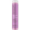 Paul Mitchell Clean Beauty Blonde Shampoo 250 ml Paul Mitchell Clean Beauty Blonde Shampoo 250 ml