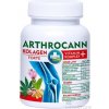 Annabis ARTHROCANN KOLAGÉN Forte VITAMÍN Komplex tbl 1x60 ks Annabis, s.r.o. Annabis ARTHROCANN KOLAGÉN Forte VITAMÍN Komplex tbl 1x60 ks Annabis, s.r.o.