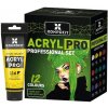 Sada akrylových farieb ACRYL PRO PROFESSIONAL 12x75 ml Sada akrylových farieb ACRYL PRO PROFESSIONAL 12x75 ml