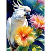 Diamantový obraz Biely papagáj Diamantový obraz Biely papagáj