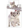 Jerry Fabrics Obliečky Kitten grey 140x200 70x90 Jerry Fabrics Obliečky Kitten grey 140x200 70x90