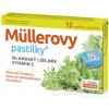 Müllerove pastilky s islandským lišajníkom a vitamínom C bez cukru 12ks Müllerove pastilky s islandským lišajníkom a vitamínom C bez cukru 12ks