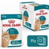 Royal Canin FHN Cat Ageing 11+ Jelly 12 x 85 g