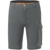 Regatta Bendrick Shorts