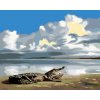 ZUTY Maľovanie podľa čísel - LEŽIACI ALIGÁTOR A NEBO (D. RUSTY RUST) Rámovanie: vypnuté plátno na rám, Rozmer: 80x100 cm ZUTY Maľovanie podľa čísel - LEŽIACI ALIGÁTOR A NEBO (D. RUSTY RUST) Rámovanie: vypnuté plátno na rám, Rozmer: 80x100 cm