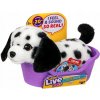Little Live Pets Môj Skutočný Mini Dalmatínec Pepper Little Live Pets Môj Skutočný Mini Dalmatínec Pepper