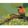 Diamondi Diamantové maľovanie - MALÝ FAREBNÝ VTÁČIK SO ŠPICATÝM ZOBÁKOM Rámovanie: bez rámu a bez vypnutia plátna, Rozmer: 40x50 cm Diamondi Diamantové maľovanie - MALÝ FAREBNÝ VTÁČIK SO ŠPICATÝM ZOBÁKOM Rámovanie: bez rámu a bez vypnutia plátna, Rozmer: 40x50 cm