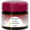 Mucoplant masť pri prechladnutí ung. 1x 20 g