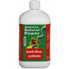 Advanced Hydroponics Growth/Bloom Excellarator 250ml Advanced Hydroponics Growth/Bloom Excellarator 250ml