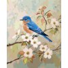ZUTY Maľovanie podľa čísel - MODRÝ VTÁK NA KONÁRI A BIELE KVETY Rámovanie: vypnuté plátno na rám, Rozmer: 40x50 cm ZUTY Maľovanie podľa čísel - MODRÝ VTÁK NA KONÁRI A BIELE KVETY Rámovanie: vypnuté plátno na rám, Rozmer: 40x50 cm