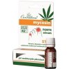 Ihneď k odberu - Cannaderm Mycosin Forte sérum 10 + 2 ml Ihneď k odberu - Cannaderm Mycosin Forte sérum 10 + 2 ml