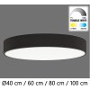 ACB Isia 100 LED BLACK P345393NTWRC (TunableW Remote C) (Moderné španielske stropné LED svietidlo ACB Isia.) ACB Isia 100 LED BLACK P345393NTWRC (TunableW Remote C) (Moderné španielske stropné LED svietidlo ACB Isia.)