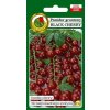 Semená paradajok 0,5 g Semená paradajok 0,5 g