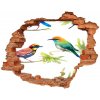 Nálepka 3D diera na stenu betón Exotické vtáctvo 90x70 cm Nálepka 3D diera na stenu betón Exotické vtáctvo 90x70 cm