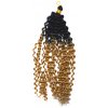 Africké Vlasy Water Wave kučeravé čierna-tmavá blond ombré PT-05 Africké Vlasy Water Wave kučeravé čierna-tmavá blond ombré PT-05