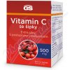 GS Vitamin C 500 se šípky 50+10 tabliet