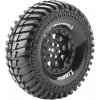 Louise RC CR-ARDENT 1 9 Black Rims L-T3232VB (L-T3232VB) Louise RC CR-ARDENT 1 9 Black Rims L-T3232VB (L-T3232VB)