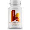 Kompava Boswellia serrata 305 mg 90 kapsúl Kompava Boswellia serrata 305 mg 90 kapsúl