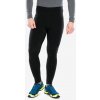 Icebreaker Merino Speed Winter Tights black
