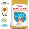 Royal Canin Dog Puppy Cavalier King Charles - 1,5kg Royal Canin Dog Puppy Cavalier King Charles - 1,5kg