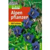 Alpenpflanzen (Thomas Muer,Oskar Angerer)(Brožovaná) Alpenpflanzen (Thomas Muer,Oskar Angerer)(Brožovaná)
