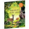 Kúzelný svet lesa - Kniha samolepiek Kúzelný svet lesa - Kniha samolepiek