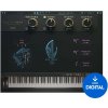 Boz Digital Labs New York L 1991 Lite (Digitálny produkt)